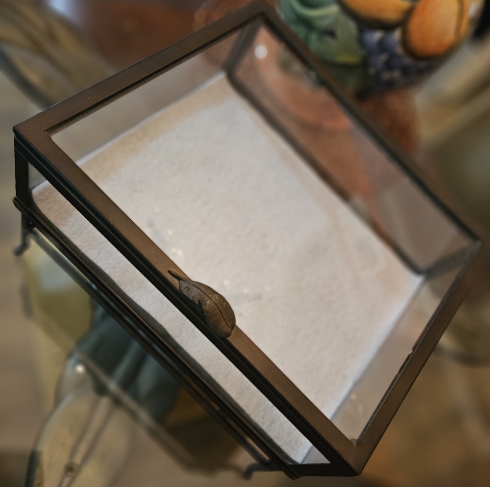 VERY RARE!!! Marjolein Bastin Natures Sketchbook Glass Display Case w/Stand